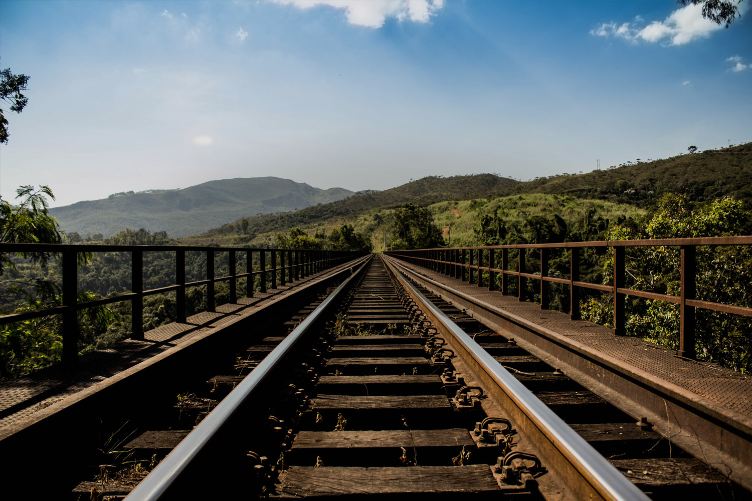 tracks